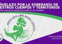 BOLIVIA ABORTO 2019