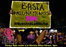 25N2017 GUADALAJARA MEXICO